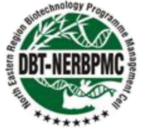 DBT-NERBPMC